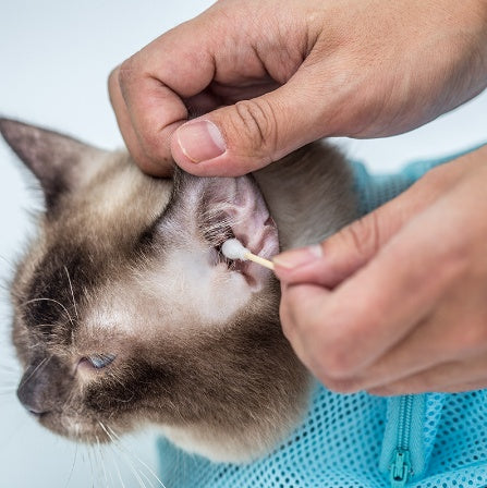 Adjustable Soft Cat Grooming Bag | Multifunctional Mesh for Bathing & Nail Trimming