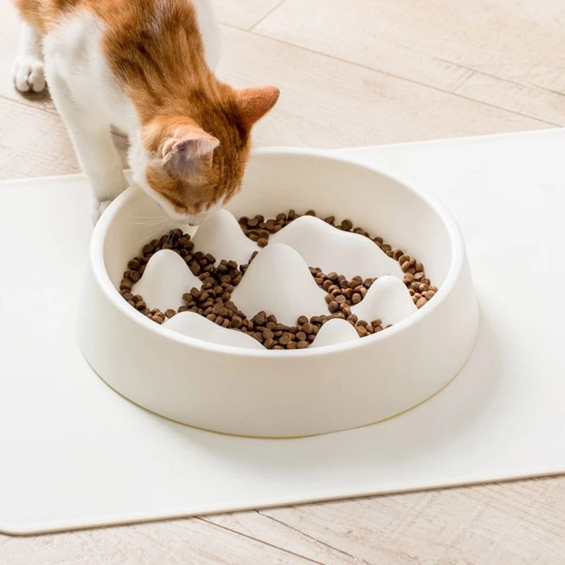 Healthy Slow Feeder Pet Bowl | Non-Skid Anti-Gulping Food Dish