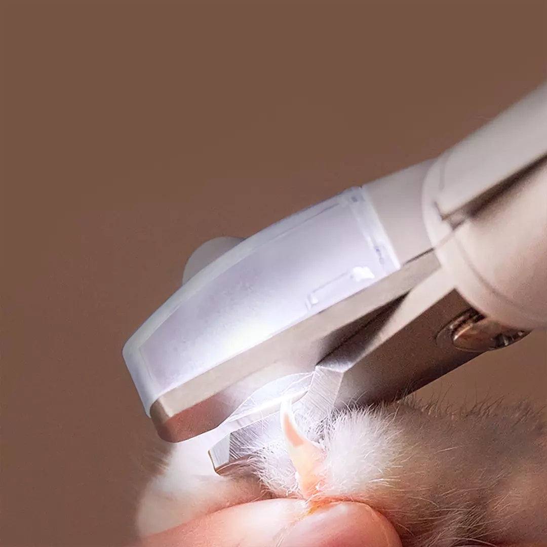 Animal Nail Grooming Tool: LED Light Clipper Scissors for Dogs and Cats