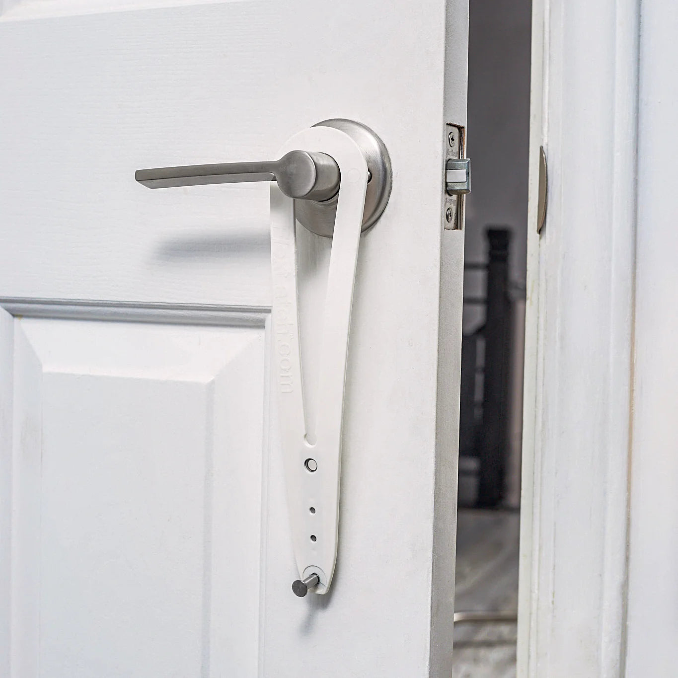 Cat Door Holder