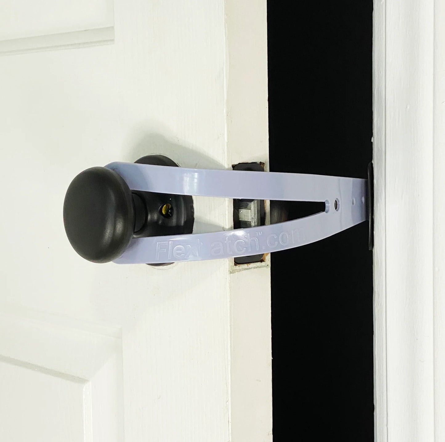 Cat Door Holder