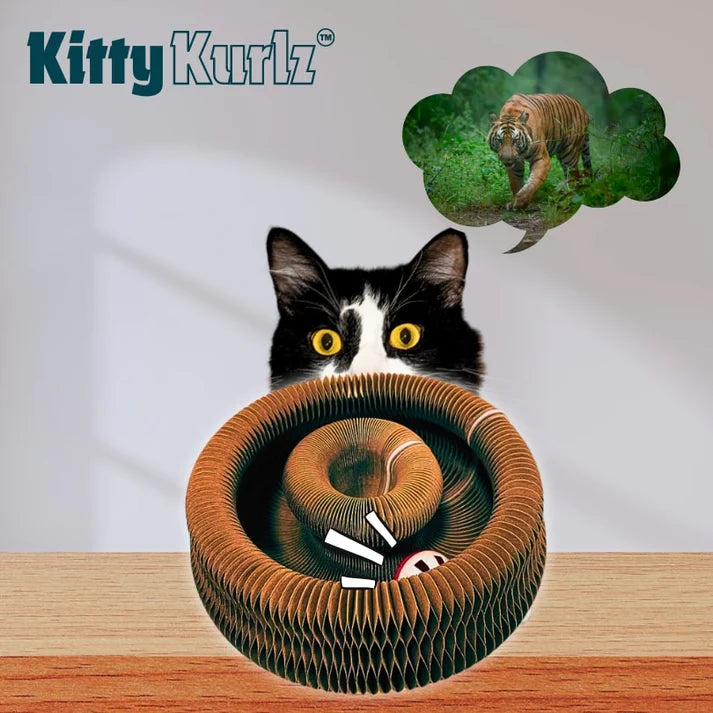 Kitty Kurlz