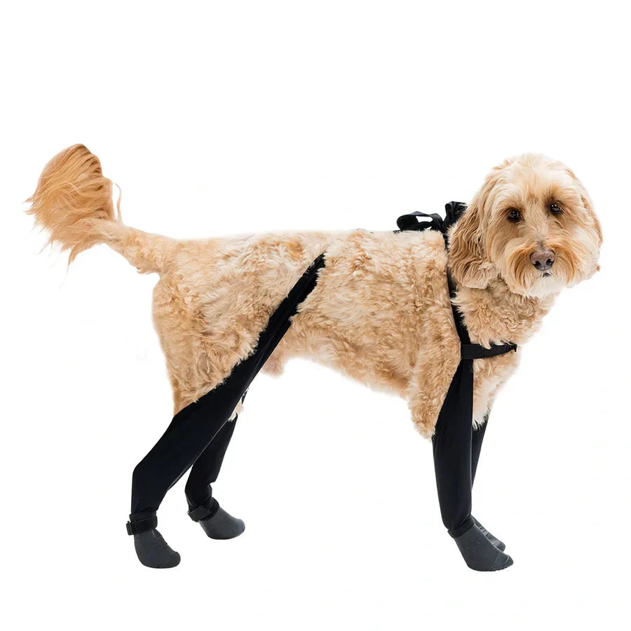 Premium Dog Leggings for Boots | Deluxe Anti-Slip Protective Winter Leg Covers
